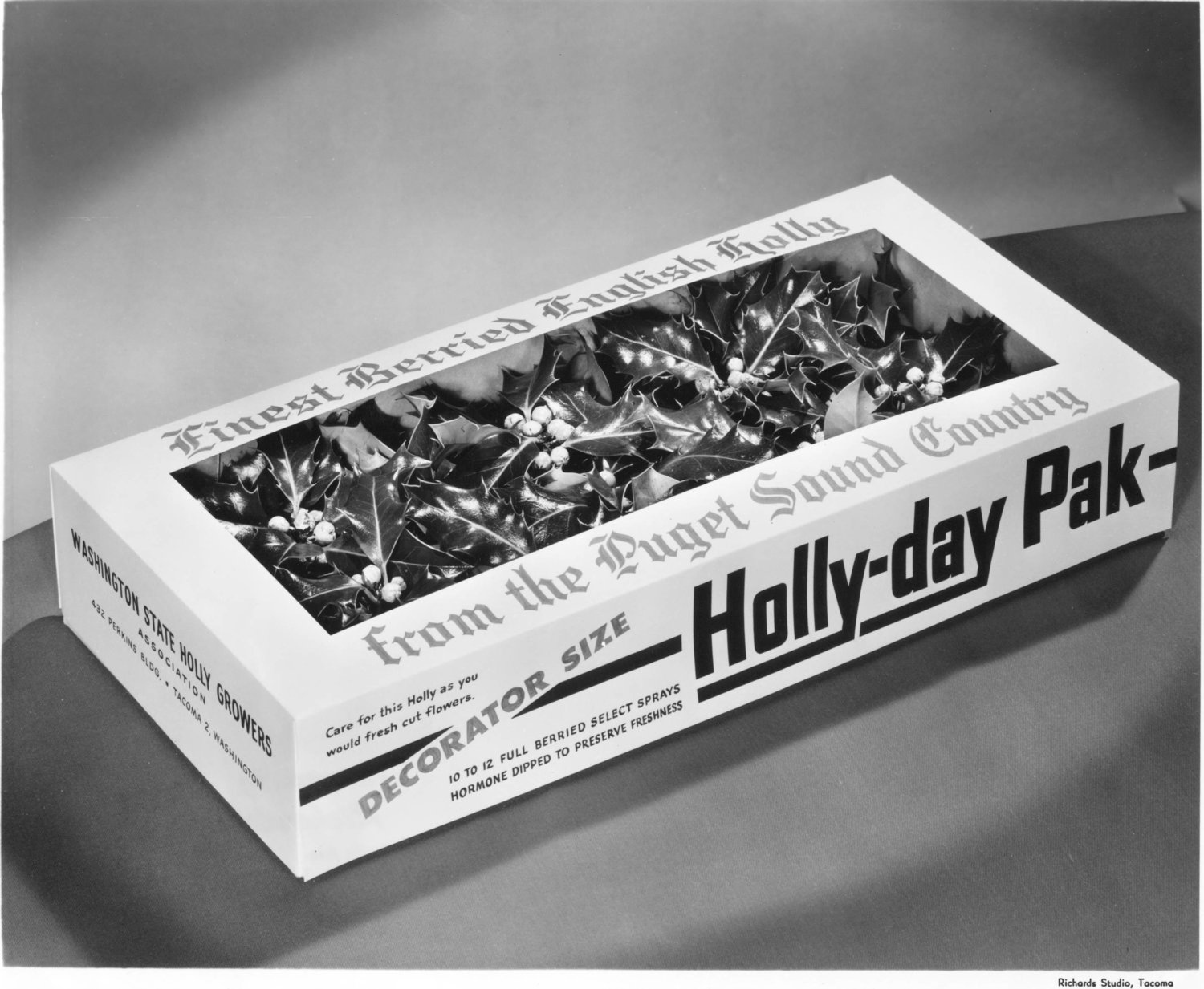 Tacoma Public Library Northwest Room, Richards Studio Holly for Christmas ad from Dec 1953